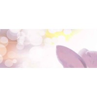 SET DECOR VIOLA ORCHID LILA 60x100 2493