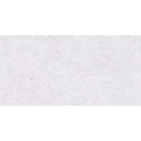 PALAZZO LIGHT GREY 30x60 4618