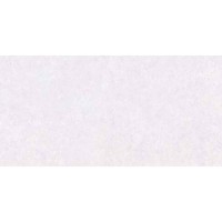 VARESE LIGHT GREY 30x60 4640
