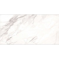 ALPINO GREY 60x120