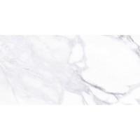 PARIS LIGHT GREY 30x60 PARIS LIGHT GREY 30x60