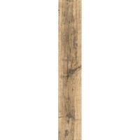 FOREST POPLAR DJ 15x90
