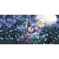 DECOR 79 BLUE HL2 30x60