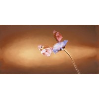 DECOR 79 BROWN HL 30x60