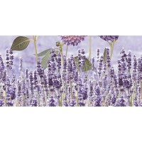 DECOR 79 PURPLE HL A 30x60