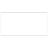 WHITE MATT RECTIFIED 30x60
