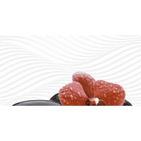 PASSION DUNE STONE DECORE A 30x60