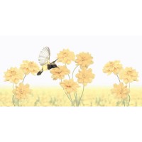 SUMMER STRIPES DECORE 30x60