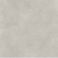 GPTU 603 59.8x59.8 LIGHT GREY MATT RECT. G1 NT867-008-1