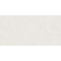 PETRA STON LIGHT 30x60
