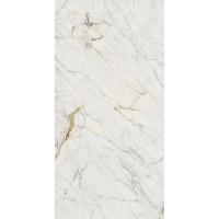 PIETRA ORO POLISHED 60x120