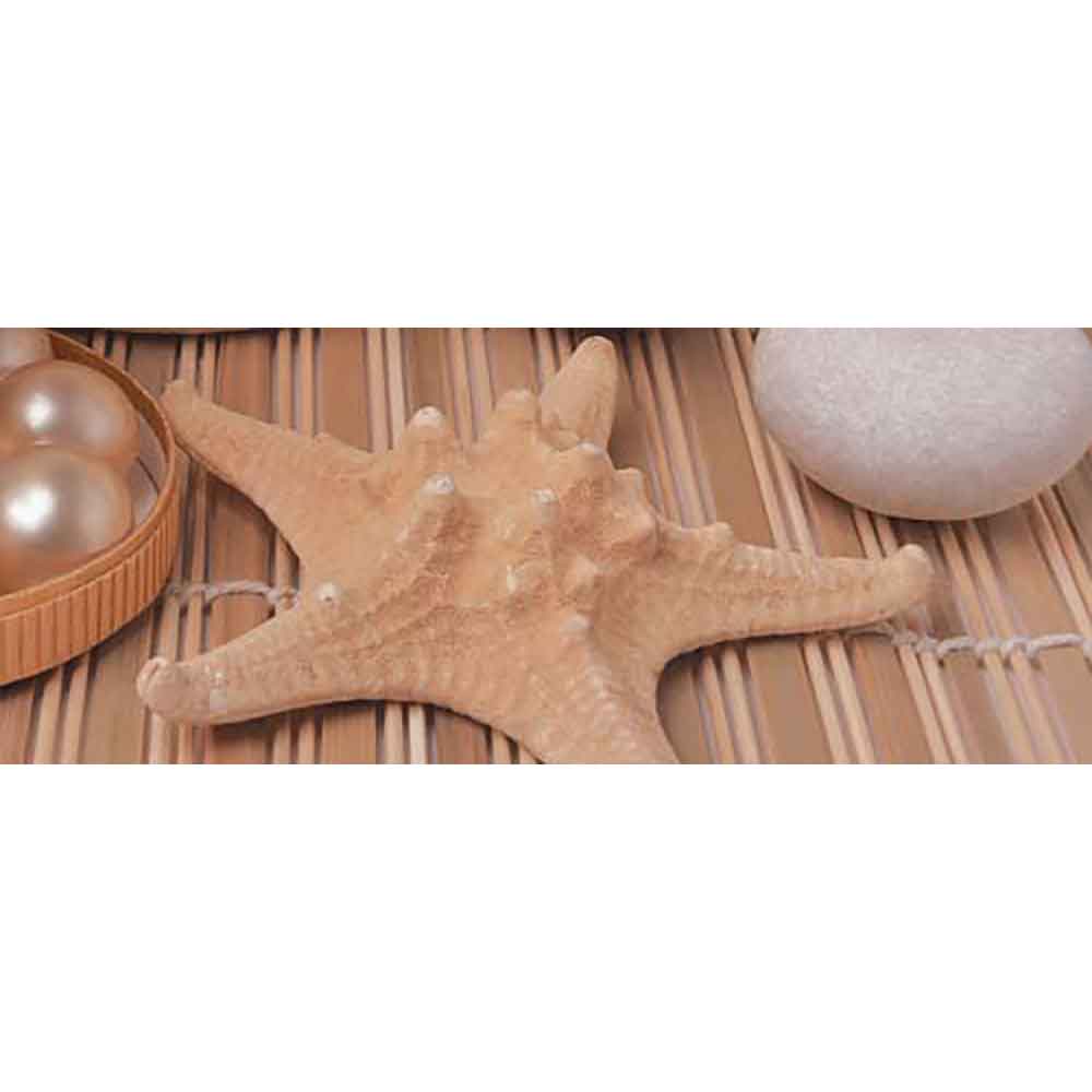 VIOLA RELAX BROWN DECOR 60x100 2494 