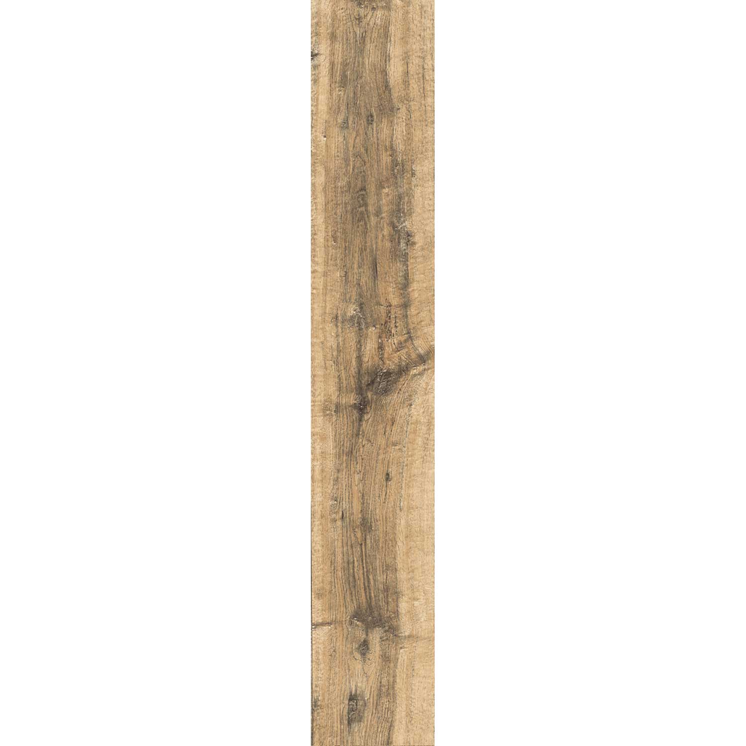 FOREST POPLAR DJ 15x90