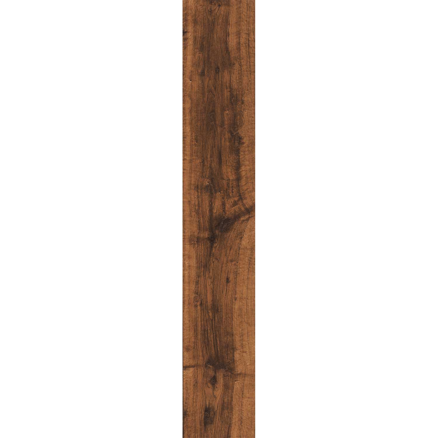 FOREST CEDAR DJ 15x90