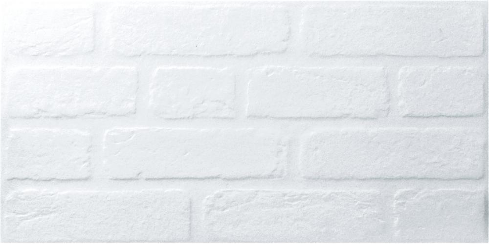 PALERMO WHITE GLOSSY 30x60