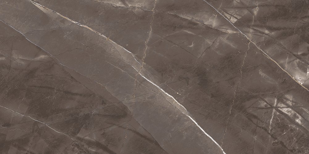 SPACE BROWN POLISHED 60x120