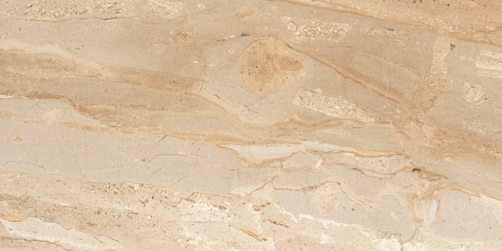 DYNA DELICATO - CRYSTAL PLUS 60x120
