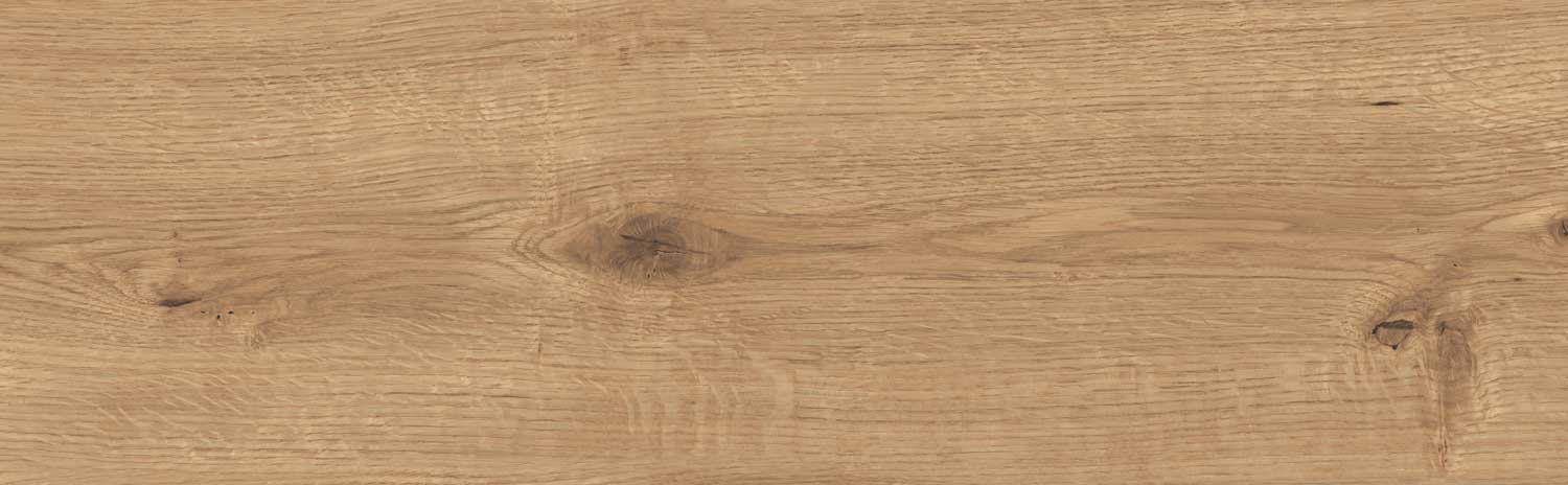 SANDWOOD BROWN 18,5x59,8 G1 W484-002-1